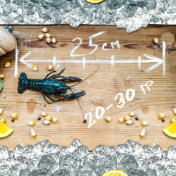 Раки живые "Мелкий"