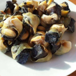 Мясо Рапаны (Приваренное) (кг)