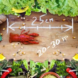 Раки вареные "Мелкий"